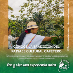 Las mujeres cafeteras colombianas