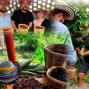 Tour del Café